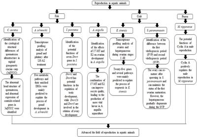 Editorial: Reproduction in aquatic animals